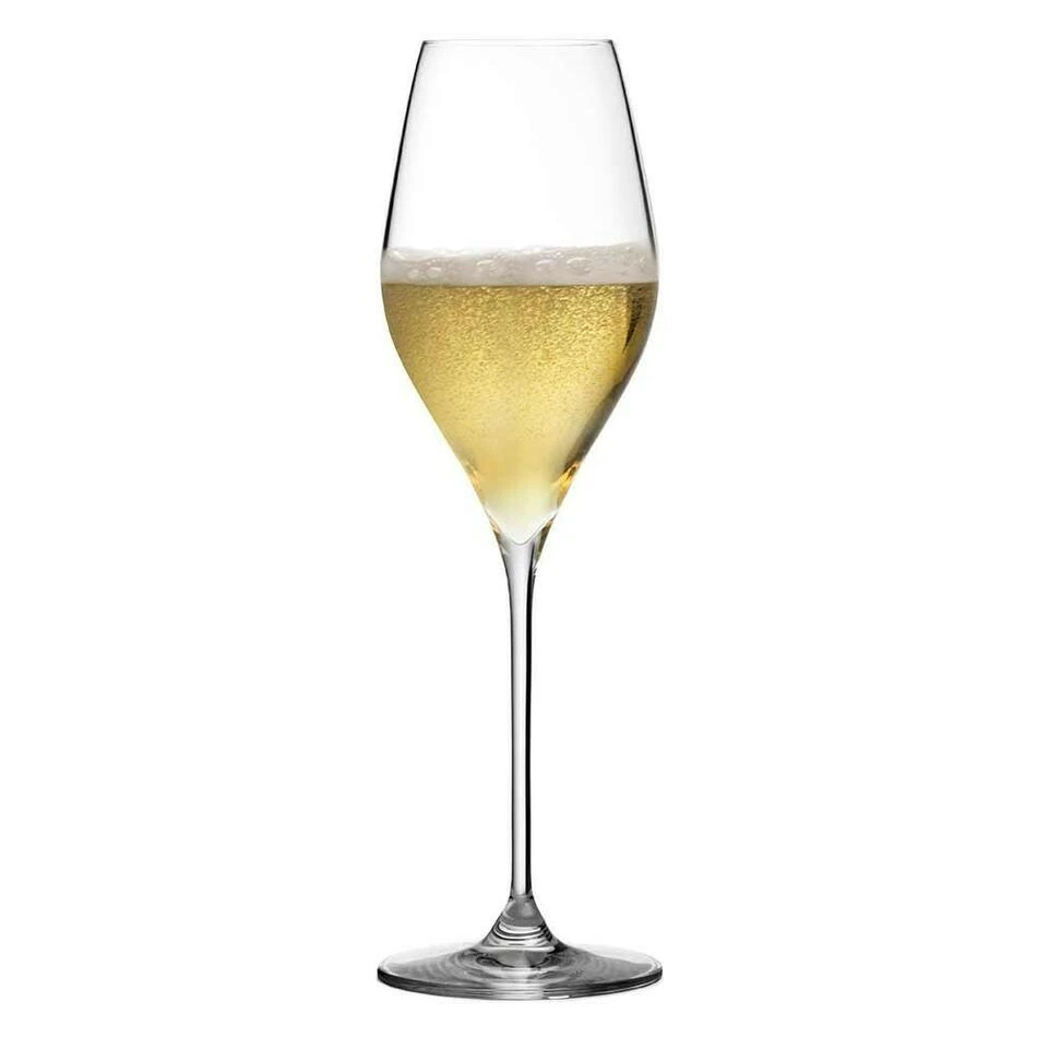 Champagneglas - Bacci - Urban bar UB3234 by Urban Bar color Sort
