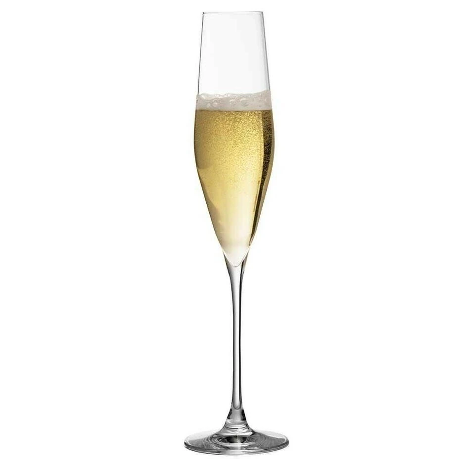 Champagne Flute - Bacci - Krystalglas - Urban bar UB3237 by Urban Bar color Sort