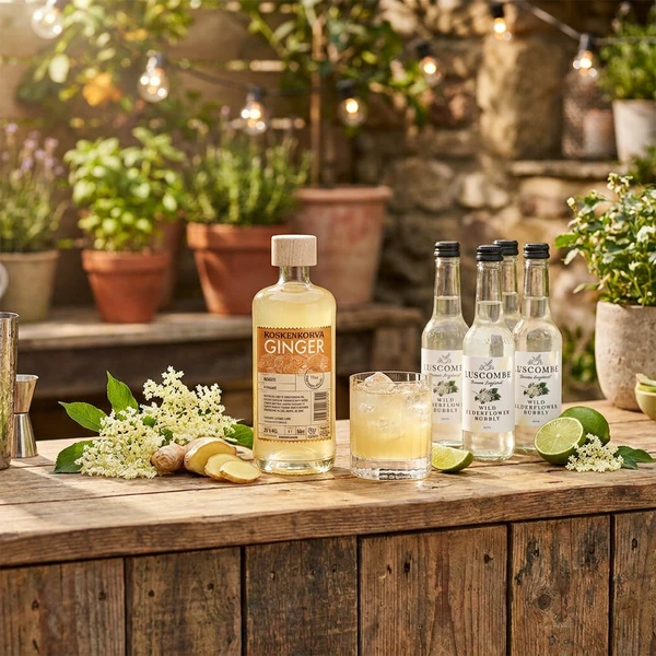 Ingefær & Hyldeblomst - Månedens Cocktail Barlifepakke102 by KOSKENKORV color Sort