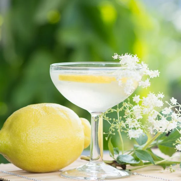 Velkomst Drinkspakke - Hyldeblomst Velkomstdrinks4 by Deinhard color Sort