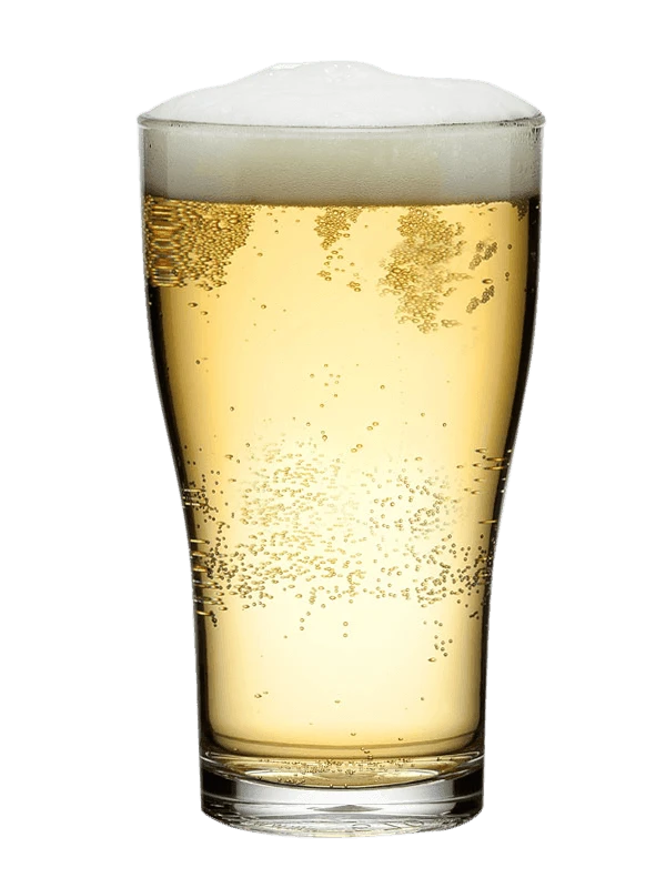 Ølglas 28,5 cl - Polycarbonat 999906 by GLASS4EVER color Sort
