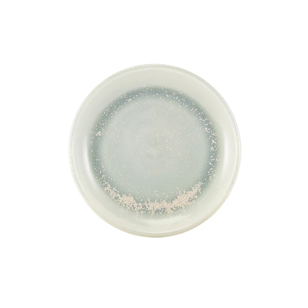 Terra Porcelain Pearl Coupé-tallerken 19 cm CP-PPL19 by Genware color Sort