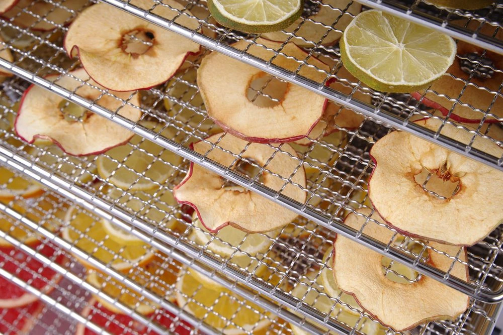 Hendi Profi Line Dehydrator og Tørreovn 10 bakker 229026 by Hendi color Sort