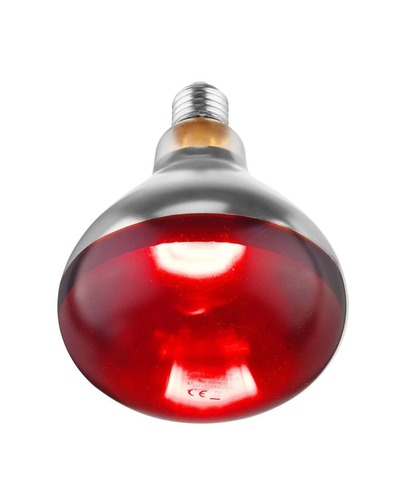 Hendi Infrarød Varmepære Rød 275W 919217 by Hendi color Sort