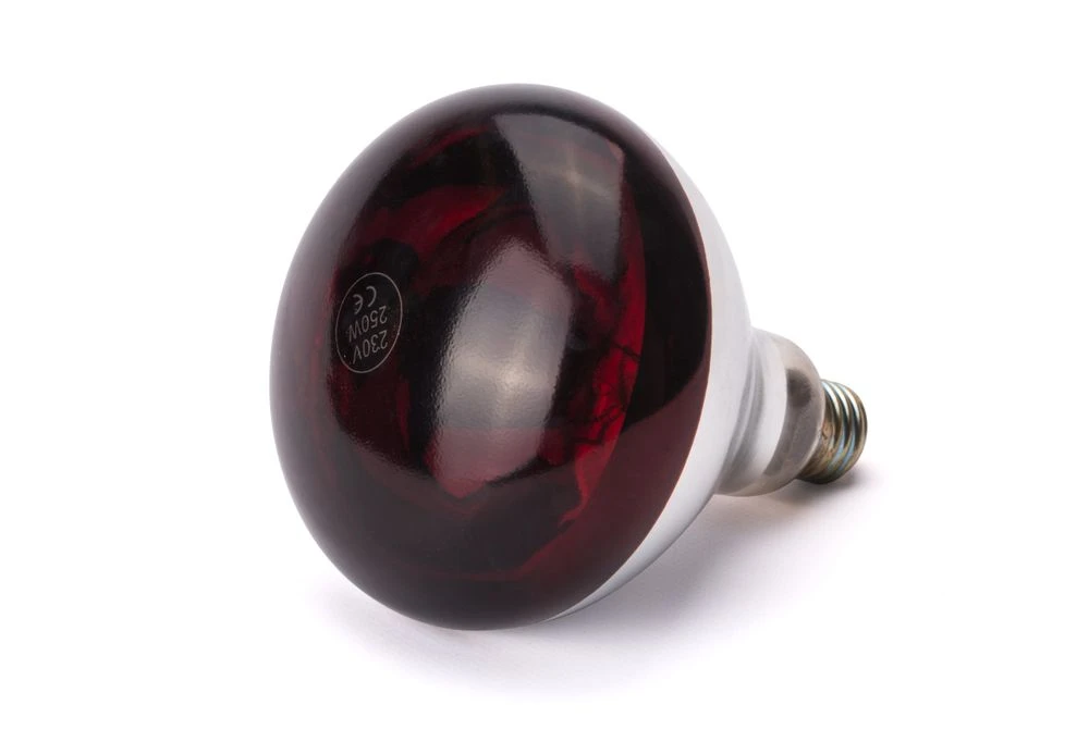 Hendi Infrarød Varmepære Rød 275W 919217 by Hendi color Sort