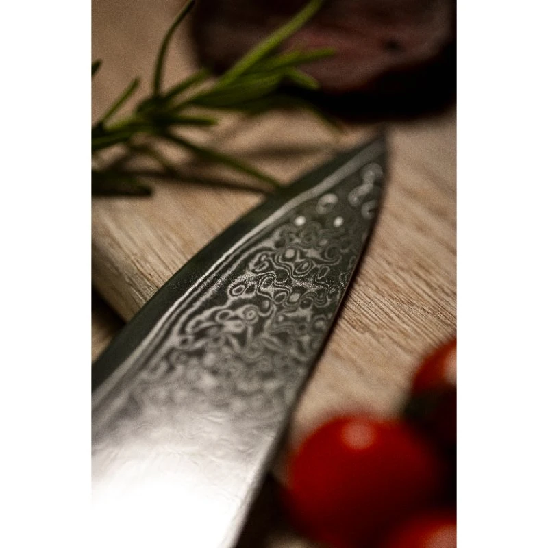 Damascus By Hâws Knivsæt i Damaskusstål 6 stk 30-DBH6G10  color Sort