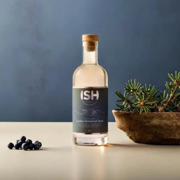 GinISH Alkoholfri Gin 70 cl 51488 by VILLAASCEN color Sort
