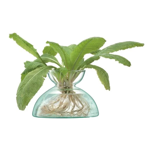 Vase Canopy Genbrugt LSA 9,5x13,5x13,5cm LCQ08 by LSA INTERNATIONAL color Sort