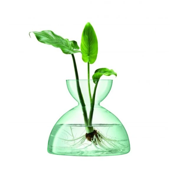 Vase Canopy Genbrugt LSA 18,2x20,7x20,7cm LCQ09 by LSA INTERNATIONAL color Sort