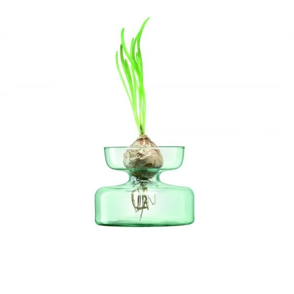 Vase/Løgvase Canopy Genbrugt LSA 10x13x13cm LCQ11 by LSA INTERNATIONAL color Sort