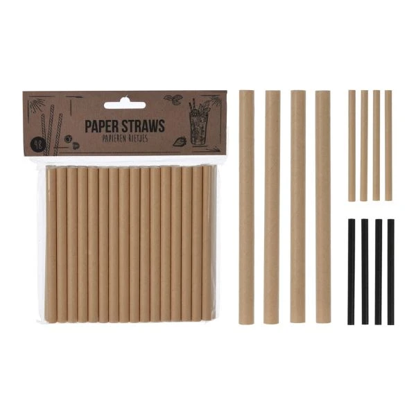 Sugerør i papir 48 stk assorteret RT1300080 by Koop color Sort
