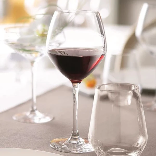 Vinglas Vins Jeunes Carbenet 58 cl - Chef / Sommelier 94242001 by Chef & Som color Sort