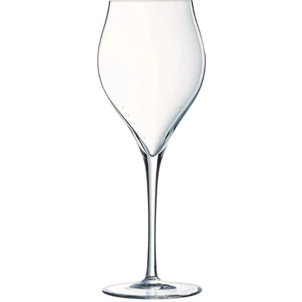 Champagneglas, 30 cl, H21,1 cm Chef&Sommelier 20162230 by Chef & Som color Klar