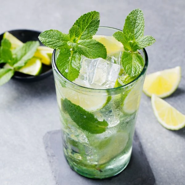 Silver Mojito