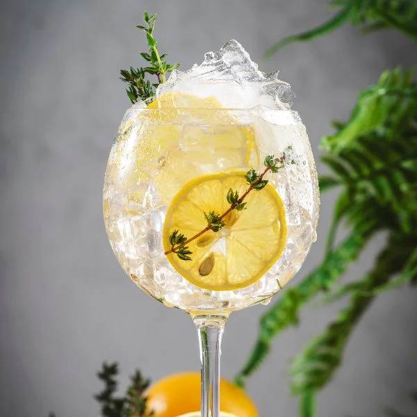 Tonic Guide - 7 facts om tonic vand