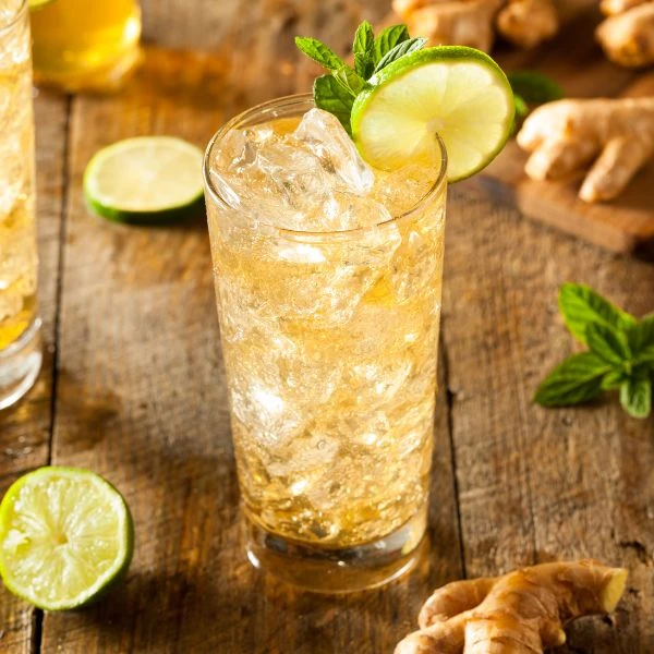 GINGER MONKEY