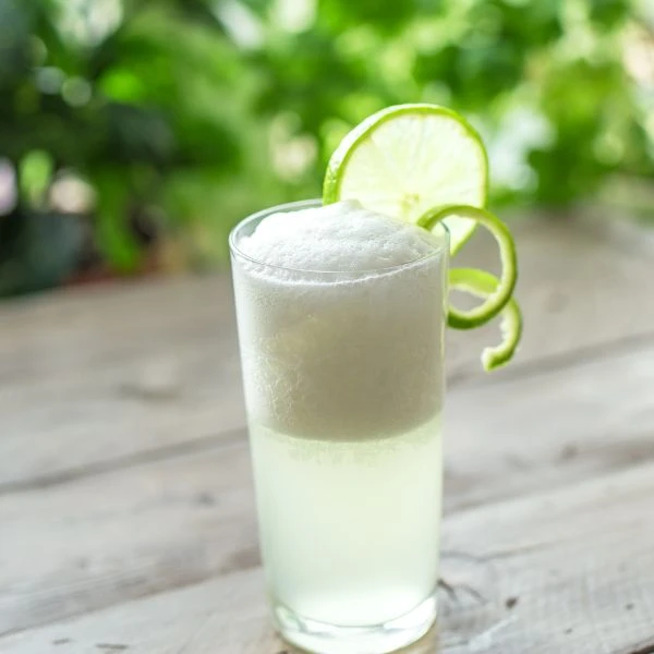 Opskrift på Gin Fizz cocktail 