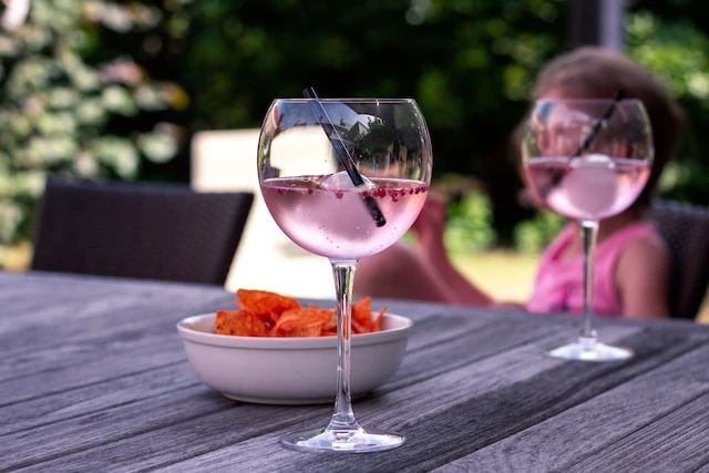 Gin for enhver smag – gin til perfektion