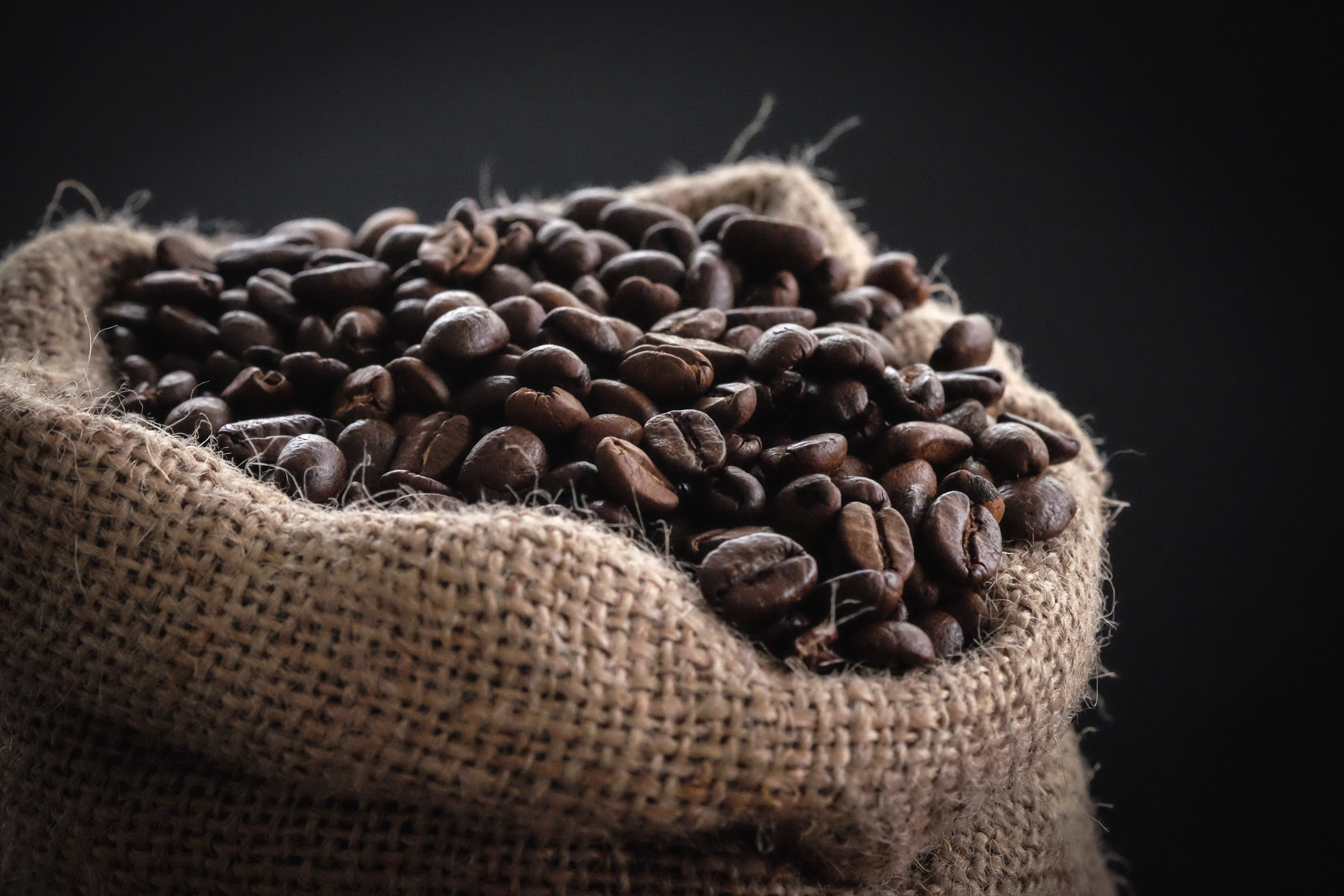 Hemmeligheden bag en god kop kaffe 